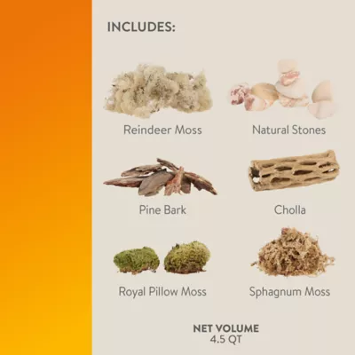 Product Thrive™ Desert Cholla Decorating Kit