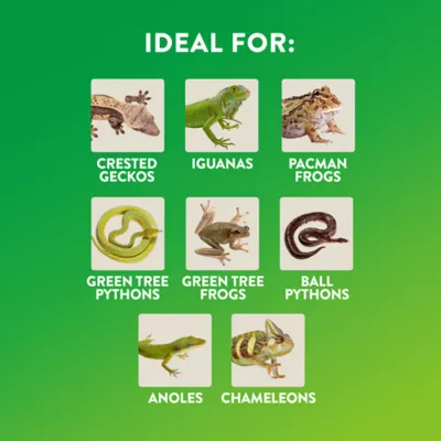 Product Thrive™ Tropical Stones Decorating Kit