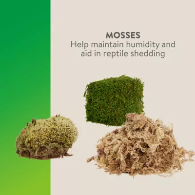 Product Thrive™ Tropical Stones Decorating Kit