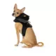 Product Thrills & Chills® Bat Costume Harness