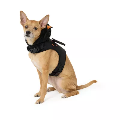 Product Thrills & Chills® Bat Costume Harness