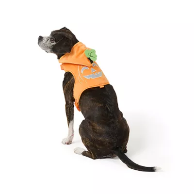 Thrills Chills® Pumpkin Costume Harness Dog