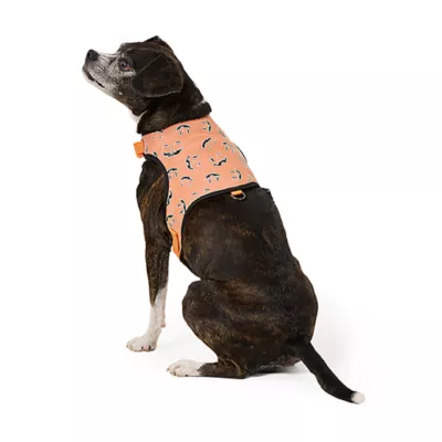 Product Thrills & Chills® Light-Up Pumpkin Harness