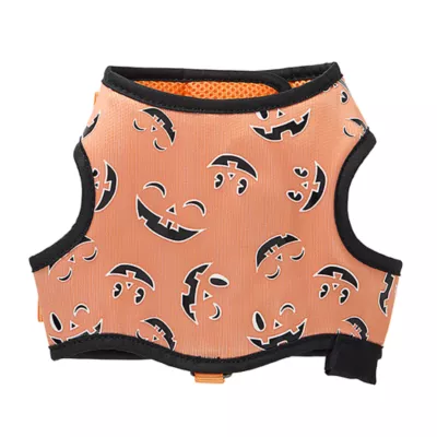 Product Thrills & Chills® Light-Up Pumpkin Harness