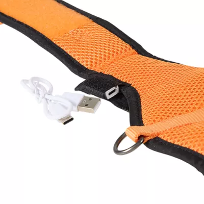 Product Thrills & Chills® Light-Up Pumpkin Harness