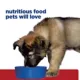 Product Hill's Prescription Diet i/d Digestive Care Puppy Wet Dog Food - Turkey, 13 oz