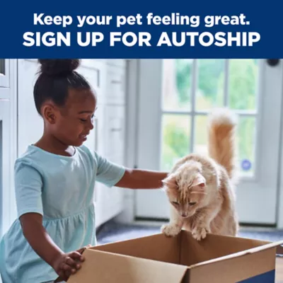 Product Hill's Prescription Diet k/d Kidney Care Variety Pack All Life Stages Wet Cat Food - 24 Count