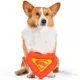 Product DC Comics Superman Plush Symbol Dog Toy 8"