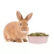 Product Full Cheeks™ Small Pet Stainless Steel Food Bowl