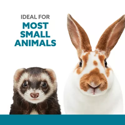 Product Full Cheeks™ Small Pet Grey Insulated Stainless Steel Food Bowl