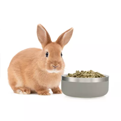 Product Full Cheeks™ Small Pet Grey Insulated Stainless Steel Food Bowl