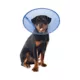 Product Calm Paws CALMING E-Collar, Blue