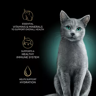 Product SHEBA Wet Cat Food, Salmon, Tuna, Trout, Variety Pack, 24 CT, 31.7 OZ