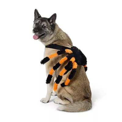 Thrills Chills® LED Spider Costume, Dog Cat