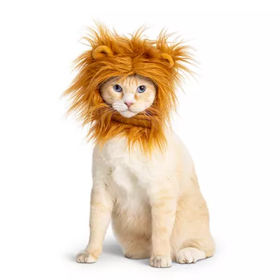 Product Thrills & Chills Headwear Costume for Pets - Lion