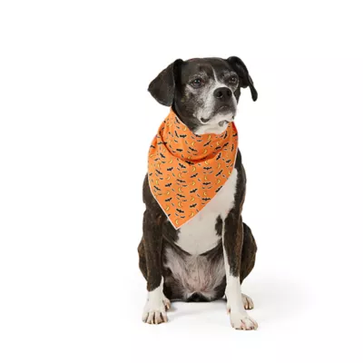 Product Thrills & Chills® Glow-in-the-Dark Pet Bandana