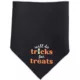 Product Thrills & Chills® Trick or Treat Bandana