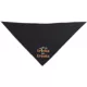 Product Thrills & Chills® Trick or Treat Bandana