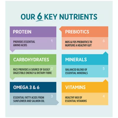 Product Naturo Adult Dog Wet Food - Lamb with Rice and Vegetables