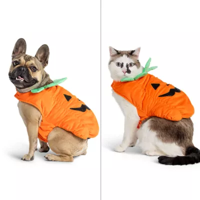 Product Thrills & Chills® Pet Pumpkin Costume, Dog & Cat