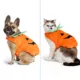 Product Thrills & Chills® Pet Pumpkin Costume, Dog & Cat