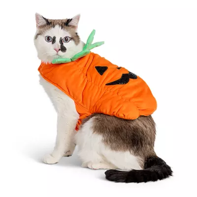 Product Thrills & Chills® Pet Pumpkin Costume, Dog & Cat