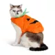 Product Thrills & Chills® Pet Pumpkin Costume, Dog & Cat