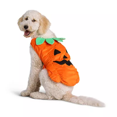 Product Thrills & Chills® Pet Pumpkin Costume, Dog & Cat