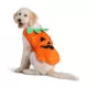 Product Thrills & Chills® Pet Pumpkin Costume, Dog & Cat