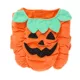 Product Thrills & Chills® Pet Pumpkin Costume, Dog & Cat