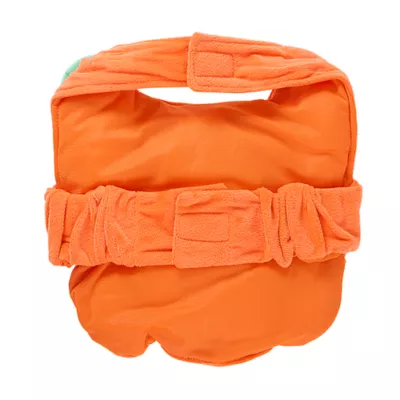 Product Thrills & Chills® Pet Pumpkin Costume, Dog & Cat