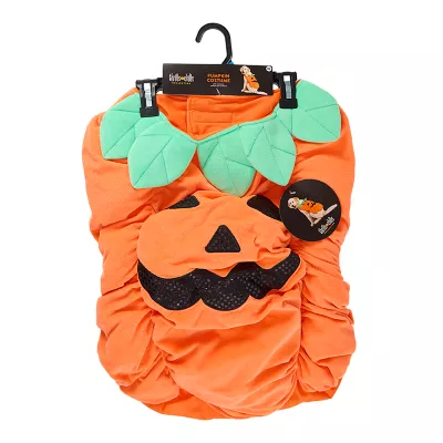 Product Thrills & Chills® Pet Pumpkin Costume, Dog & Cat