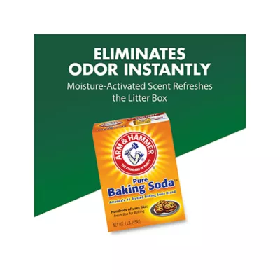 Product Arm & Hammer Cat Litter Deodorizer 20 OZ