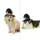 Product Thrills & Chills Headwear Costume for Pets - Witch