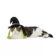 Product Thrills & Chills Headwear Costume for Pets - Witch