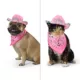 Product Thrills & Chills® Pink Cowgirl Hat & Bandana