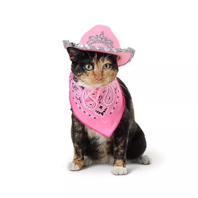 Product Thrills & Chills® Pink Cowgirl Hat & Bandana