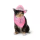 Product Thrills & Chills® Pink Cowgirl Hat & Bandana