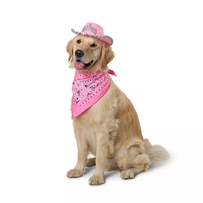 Product Thrills & Chills® Pink Cowgirl Hat & Bandana