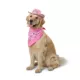Product Thrills & Chills® Pink Cowgirl Hat & Bandana