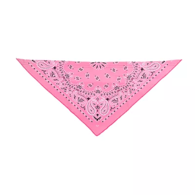 Product Thrills & Chills® Pink Cowgirl Hat & Bandana