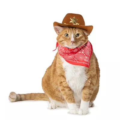 Product Thrills & Chills® Cowboy Hat & Bandana, Dog & Cat