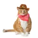 Product Thrills & Chills® Cowboy Hat & Bandana, Dog & Cat