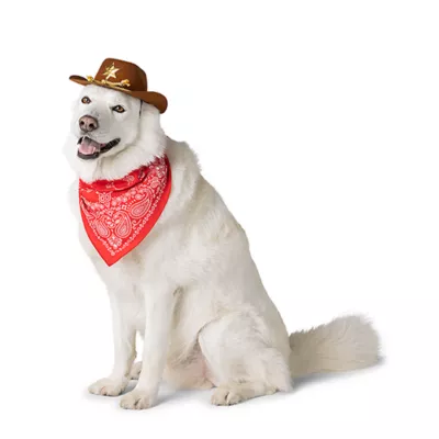 Product Thrills & Chills® Cowboy Hat & Bandana, Dog & Cat