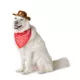 Product Thrills & Chills® Cowboy Hat & Bandana, Dog & Cat