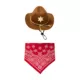 Product Thrills & Chills® Cowboy Hat & Bandana, Dog & Cat