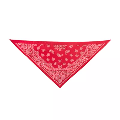 Product Thrills & Chills® Cowboy Hat & Bandana, Dog & Cat