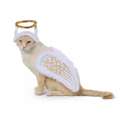 Product Thrills & Chills® Halo + Wings Costume, Dog & Cat