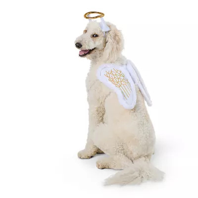 Product Thrills & Chills® Halo + Wings Costume, Dog & Cat
