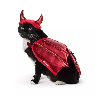 Product Thrills & Chills® Devil Costume, Dog & Cat